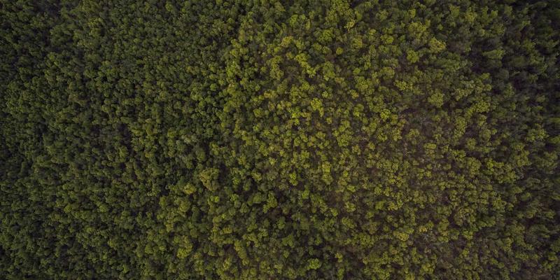 商务出行新选择：探访郑州酒店的绿色认证与可持续住宿实践