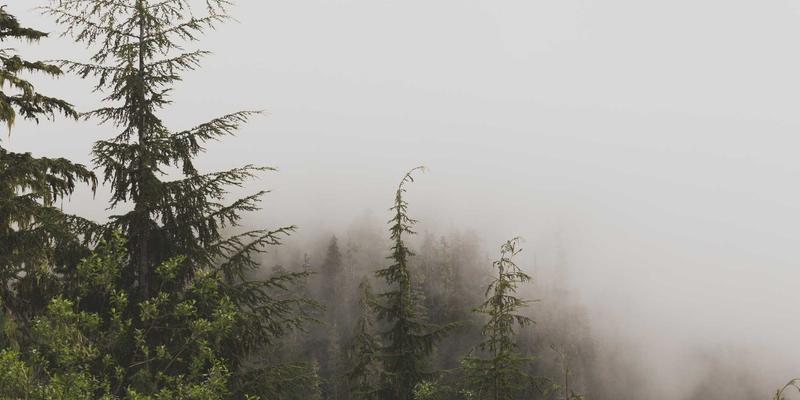 郑州商务出行住宿指南：探寻中州皇冠假日等老牌国营饭店的历史韵味与现代商旅服务
