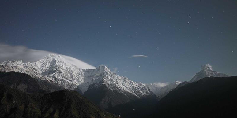 郑州商务出行新选择：精选宠物友好型酒店清单，兼顾差旅与爱宠陪伴
