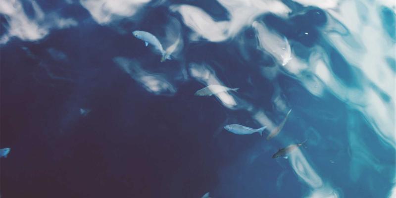 郑州星级酒店婚宴场地全攻略：从酒店预订到菜单定制的完美指南