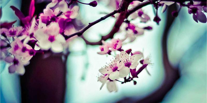 郑州酒店亲子房与主题乐园推荐：商旅住宿预订的完美选择