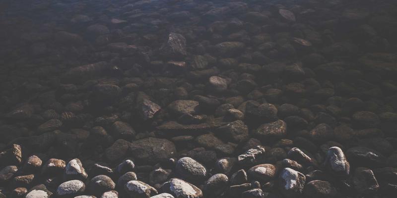 郑州酒店健身房与泳池设施对比：商旅人士的健康生活新标准