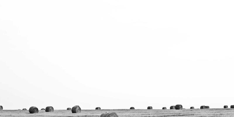 郑州酒店全攻略：商务出行住宿预订指南与优选推荐