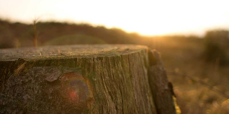 郑州酒店：商务出行的智慧选择与高效商旅服务指南
