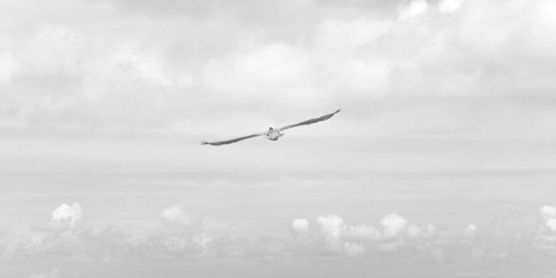 郑州酒店商旅服务全解析：高效预订与商务出行指南