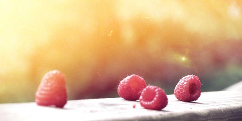 郑州酒店无障碍设施深度评测：为商务出行与住宿预订筛选真正友好的选择