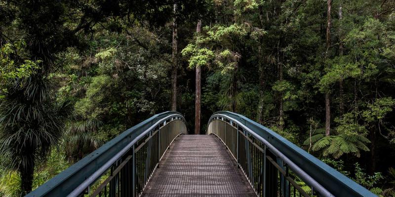 郑州酒店绿色环保实践调查：商旅服务新标杆，聚焦节能减排与可持续运营的先行者