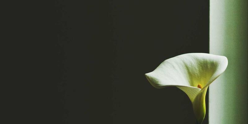 郑州酒店行政酒廊全攻略：解锁高端住宿预订的专属礼遇与社交空间