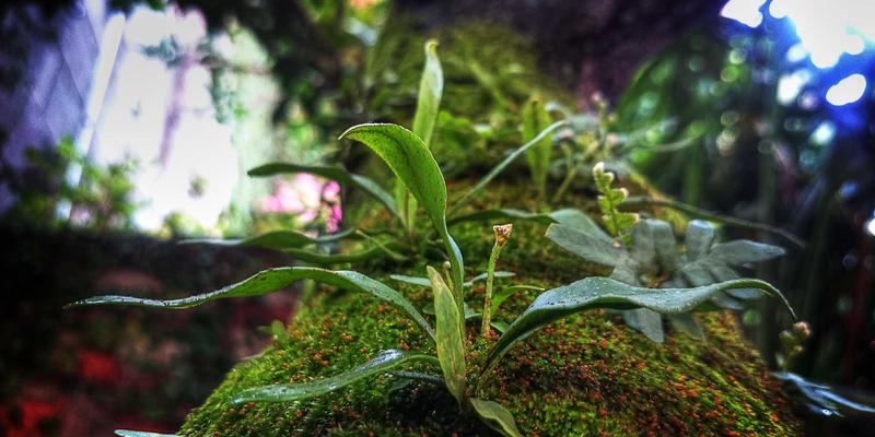 郑州酒店预订全攻略：商旅服务与住宿选择指南