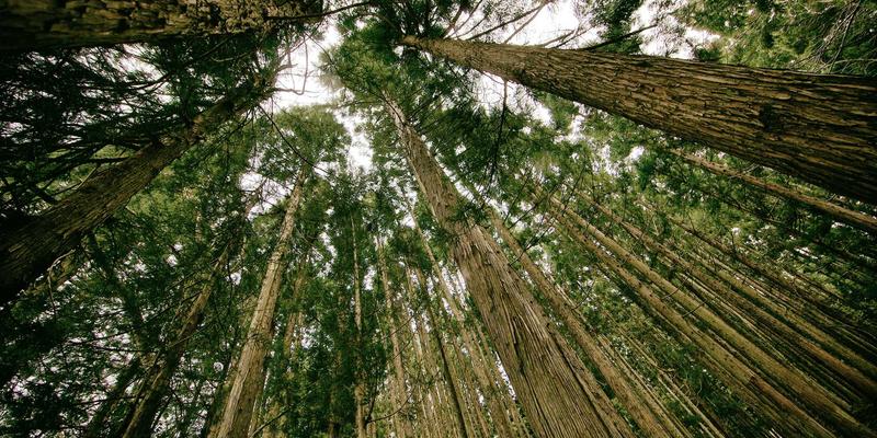 郑州银行酒店亲子套房住宿预订指南：儿童乐园与家庭温馨服务的完美体验