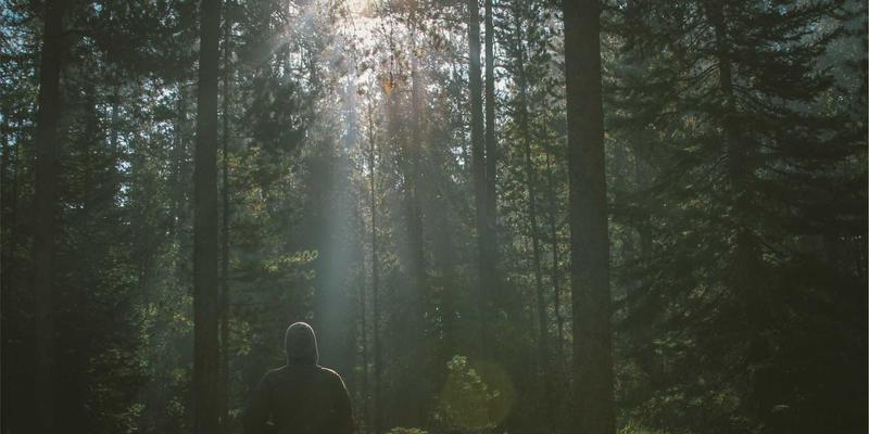 郑州银行酒店：商务出行的智慧选择与高效预订指南
